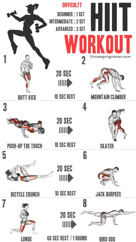 Workout Routines and Exercises